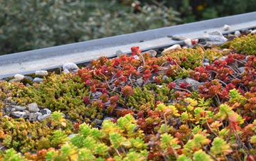 the cost of Trebarber green roof installation