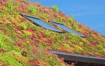 Trebarber living roof systems